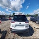1C4PJMBX6KD167102 2019 Jeep Cherokee Trailhawk 4X4 auction photo thumbnail 16