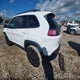 1C4PJMBX6KD167102 2019 Jeep Cherokee Trailhawk 4X4 auction photo thumbnail 3