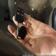 1FAHP3FN5BW139002 2011 Ford Focus Se auction photo thumbnail 11