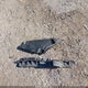 JF1GPAR64E8236852 2014 Subaru Impreza 2.0I Sport Limited auction photo thumbnail 12