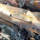 5TETX4CN5AZ696881 2010 Toyota Tacoma auction photo thumbnail 9