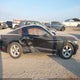 1FA6P8AM3G5327498 2016 Ford Mustang V6 auction photo thumbnail 13