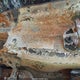 1C6SRFFT9KN703001 2019 Ram 1500 Big Horn/Lone Star 4X4 5'7 Box auction photo thumbnail 9