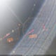 2T1BU4EE8AC462158 2010 Toyota Corolla S auction photo thumbnail 7