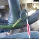 2GCEK19T541149582 2004 Chevrolet Silverado 1500 Z71 auction photo thumbnail 11