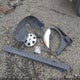 1FADP3E21DL380470 2013 Ford Focus S auction photo thumbnail 12