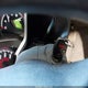 5FPYK1F40AB010955 2010 Honda Ridgeline Rts auction photo thumbnail 11