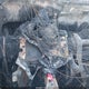 5NTJCDAE6NH033464 2022 Hyundai Santa Cruz Sel auction photo thumbnail 7
