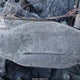 5NTJCDAE6NH033464 2022 Hyundai Santa Cruz Sel auction photo thumbnail 9
