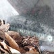 5J6RE38739L008336 2009 Honda Cr-V Ex-L auction photo thumbnail 9