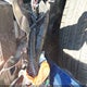 5N1BT3BAXSC812068 2025 Nissan Rogue Sv Fwd auction photo thumbnail 19