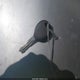 1J4GX48S51C601874 2001 Jeep Grand Cherokee Laredo auction photo thumbnail 11
