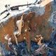 1FTFW3LD3RFA43525 2024 Ford F-150 Xlt auction photo thumbnail 7