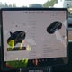 5YJ3E1EBXJF070817 2018 Tesla Model 3 Long Range/Performance auction photo thumbnail 18
