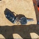 1VWBH7A37DC085262 2013 Volkswagen Passat 2.5L Se auction photo thumbnail 11