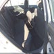 2T1BU4EE1AC409849 2010 Toyota Corolla S auction photo thumbnail 8