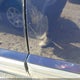1J4GS48K16C205415 2006 Jeep Grand Cherokee Laredo auction photo thumbnail 12