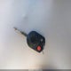 1FADP3E27DL307877 2013 Ford Focus S auction photo thumbnail 11