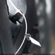 4JGAB54E41A277744 2001 Mercedes-Benz Ml 320 auction photo thumbnail 11