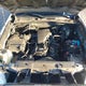 5TFRX5GN7HX100407 2017 Toyota Tacoma Sr auction photo thumbnail 10