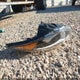 5NPDH4AE4EH489430 2014 Hyundai Elantra Se auction photo thumbnail 12