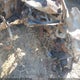 JTDP4MCE6MJ062472 2021 Toyota Corolla Se auction photo thumbnail 10