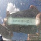 WA1AY74L59D009075 2009 Audi Q7 3.6 5 Passenger/3.6 Premium auction photo thumbnail 12