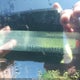 3GNAL2EK0CS565886 2012 Chevrolet Captiva Sport 2Ls auction photo thumbnail 9