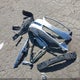 1HGCS2B85BA003237 2011 Honda Accord 3.5 Ex-L auction photo thumbnail 12
