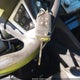 2GNFLHEK8F6362210 2015 Chevrolet Equinox Ltz auction photo thumbnail 11