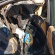 58AD11D14PU011341 2023 Lexus Es 250 auction photo thumbnail 8