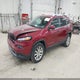 1C4PJMDSXGW198382 2016 Jeep Cherokee Limited auction photo thumbnail 2
