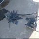 3GTP8DEDXMG108752 2021 GMC Sierra 1500 2Wd Short Box Slt auction photo thumbnail 12