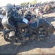 56KLDFRR7P3421626 2023 Indian Motorcycle Co. Pursuit Dark Horse With Premium Package auction photo thumbnail 12