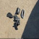 KNDERCAA2M7050240 2021 Kia Seltos Ex auction photo thumbnail 12