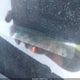 1HGCP26809A194023 2009 Honda Accord 2.4 Ex-L auction photo thumbnail 9