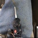 1FADP3F2XFL243433 2015 Ford Focus Se auction photo thumbnail 11