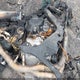 WB10E6307R6J82707 2024 BMW S 1000 Rr auction photo thumbnail 8