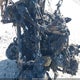 1HFSC47433A202528 2003 Honda Gl1800 A auction photo thumbnail 10