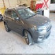 1C4PJMDX5KD236553 2019 Jeep Cherokee Limited 4X4 auction photo thumbnail 1
