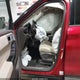 1FM5K8HCXRGA24786 2024 Ford Explorer Platinum auction photo thumbnail 5