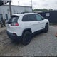 1C4PJMMB7PD112764 2023 Jeep Cherokee Altitude Lux 4X4 auction photo thumbnail 4