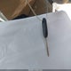 1FMPU18L83LA11270 2003 Ford Expedition Eddie Bauer auction photo thumbnail 11