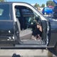 2FABP7BV4BX127902 2011 Ford Crown Victoria Police Interceptor auction photo thumbnail 5