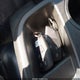 1GCUDEED5PZ223610 2023 Chevrolet Silverado 1500 4Wd Short Bed Rst auction photo thumbnail 11
