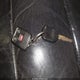 1FTPX14V28FA08065 2008 Ford F-150 Fx4/Lariat/Xl/Xlt auction photo thumbnail 11