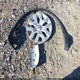 JN1BJ1CW5LW652208 2020 Nissan Rogue Sport S Awd Xtronic Cvt auction photo thumbnail 12