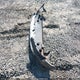 2FMPK3K94JBB19784 2018 Ford Edge Titanium auction photo thumbnail 12