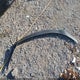 5NPD84LF6LH566382 2020 Hyundai Elantra Sel auction photo thumbnail 12
