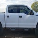 1FTEW1EF4GFC59198 2016 Ford F-150 Xlt auction photo thumbnail 13